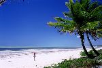 beach in Bwejuu